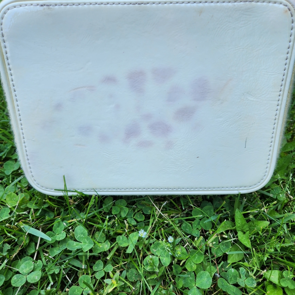 SOLD  Juicy Couture Train Case Cosmetic Case Travel Bag - Picture 14 of 14